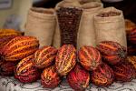 agro-noticias/attachments/11026-cacao-exportacion-produccion.jpg