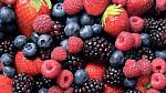 agro-noticias/attachments/12193-berries-andinos.jpg