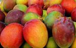 agro-noticias/attachments/12245-mango-ecuatoriano.jpg