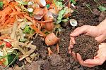 agro-noticias/attachments/12657-gaia-recycle-peru.jpg