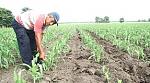 agro-noticias/attachments/12830-agua-peru-agricultura-gobierno.jpg