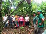 agro-noticias/attachments/13113-ucayali-mas-15000-familias-dejaron-cultivo-coca-y-se-dedican-a-cultivos-alternativos.jpg