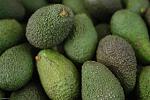 agro-noticias/attachments/16738-palta-india.jpg