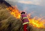 agro-noticias/attachments/25394-incendio.jpg