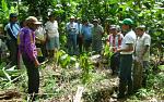 agro-noticias/attachments/6171-productores-de-cacao.jpg