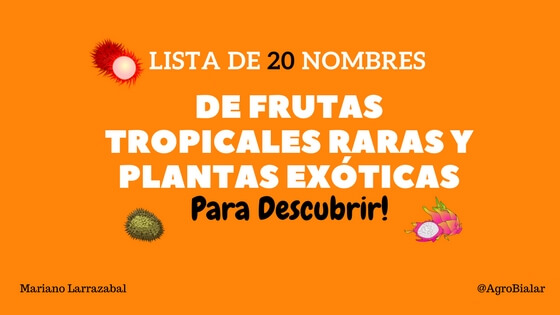 Clic en la imagen para ver su versin completa. 

Nombre: Frutas Tropicales Raras y Plantas Exticas.jpg 
Visitas: 1788 
Tamao: 37.7 KB 
ID: 16542