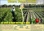 blogs/agricola-sechin-sac/attachments/2991-venta-de-plantones-de-granado-wonderful-aviso-edici-n-370.jpg